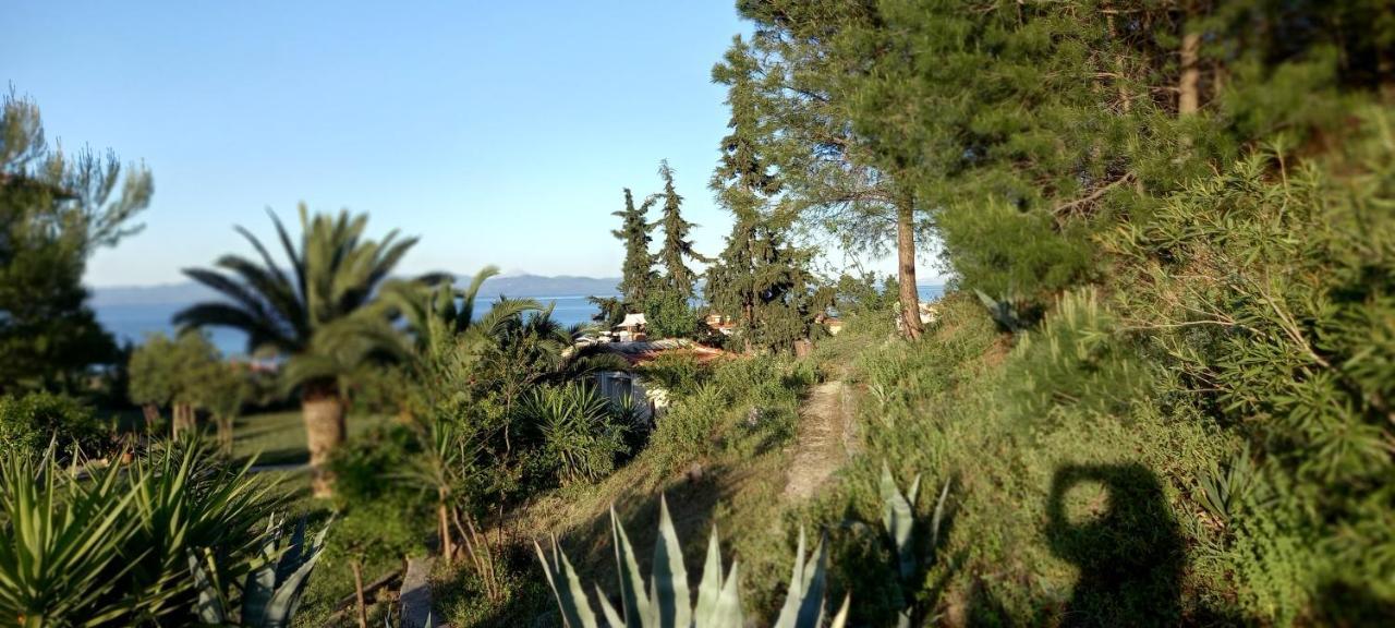 Seaside View Villa Hanioti Exteriör bild